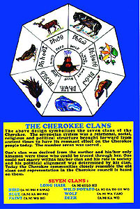 Cherokee Seven Clans Decal